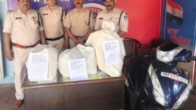 WhatsApp Image 2026 03 28 at 18.54.01