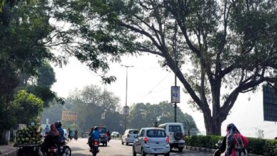 WhatsApp Image 2026 03 29 at 12.21.30