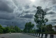 WhatsApp Image 2026 03 31 at 13.16.39