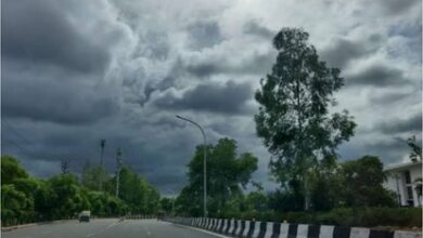 WhatsApp Image 2026 03 31 at 13.16.39