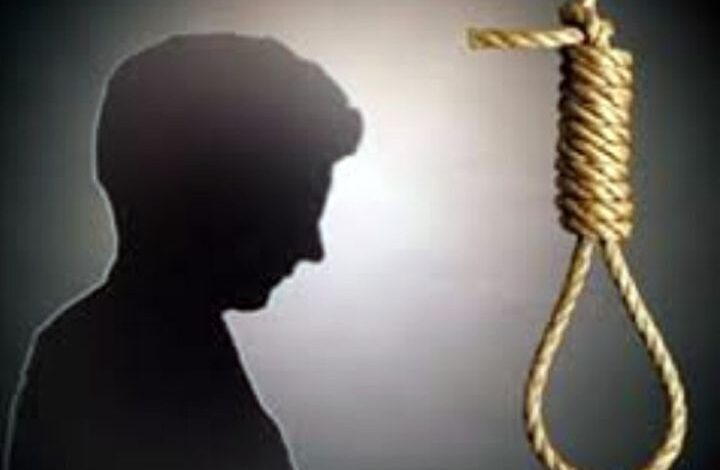 fansi1648565200 1679382901