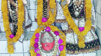 शहर में हर्षोल्लास से मना भगवान श्रीराम का जन्मोत्सव, दोपहर 12 बजते ही भये प्रगट कृपाला दीन दयाला...की धुन से गंूजे राम मंदिर, कल निकलेगी भव्य शोभायात्रा 8 ram navmi