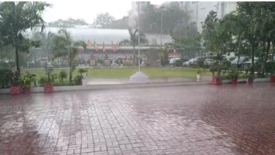 भोपाल में मौसम का यू-टर्न: सुबह खिली धूप, दोपहर में आंधी-बारिश से भीगा शहर 9 BARISH