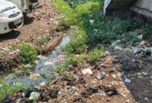 IMG 20260402 WA0043 1