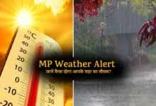 MP Weather Alert 1
