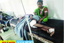 बड़े ने छोटे भाई पर फावड़े से किया जानलेवा हमला, मामूली विवाद को लेकर रीठी में वारदात 8 Page 2 copy