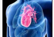 Screenshot 2026 04 07 16 50 43 46 40deb401b9ffe8e1df2f1cc5ba480b12