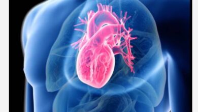 Screenshot 2026 04 07 16 50 43 46 40deb401b9ffe8e1df2f1cc5ba480b12