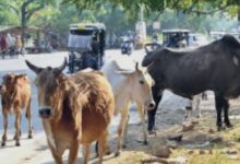 Screenshot 2026 04 19 10 37 58 40 680d03679600f7af0b4c700c6b270fe7