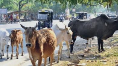 Screenshot 2026 04 19 10 37 58 40 680d03679600f7af0b4c700c6b270fe7