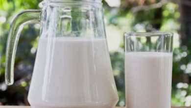 दूध उत्पादक किसानों को बड़ी राहत की तैयारी, उत्पादन बढ़ाने के लिए सरकार बनाएगी नई रणनीति 8 Screenshot 2026 04 24 21 50 50 03 680d03679600f7af0b4c700c6b270fe7