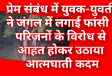 Screenshot 20260401 104155.Gallery