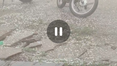 Screenshot 20260401 233500.WhatsApp