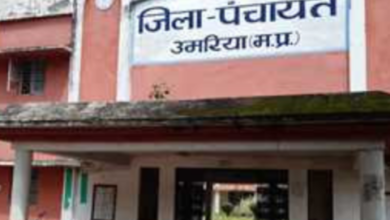 Screenshot 20260403 190208.WhatsApp