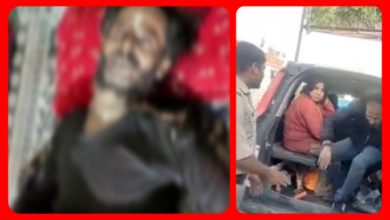 Screenshot 20260407 221454.Gallery