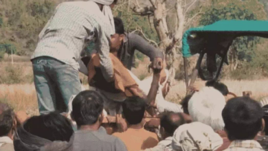 Screenshot 20260408 133041.WhatsApp