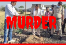 Screenshot 20260411 185411.Gallery