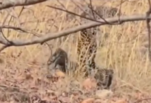 Screenshot 20260412 220533.WhatsApp