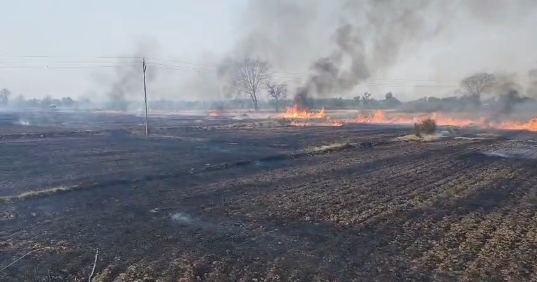 24 घंटे के भीतर तीन जगह आग की घटनाएं, फायर ब्रिगेड की त्वरित कार्रवाई से बड़ा हादसा टला 4 Screenshot 20260412 134845 WhatsApp