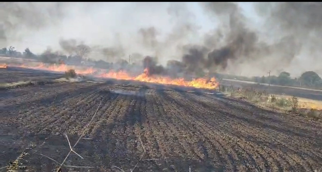 Screenshot 20260412 134904 WhatsApp