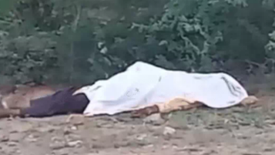 युवती की गला काटकर हत्या : UP के युवक की फांसी पर लटकी डेडबॉडी मिली... युवती की कुछ दिनों में होने वाली थी शादी, क्षेत्र में हड़कंप 10 Screenshot 20260413 083709.Dainik Bhaskar