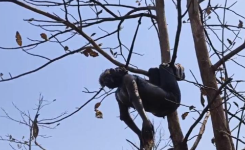 Screenshot 20260413 212130.WhatsApp