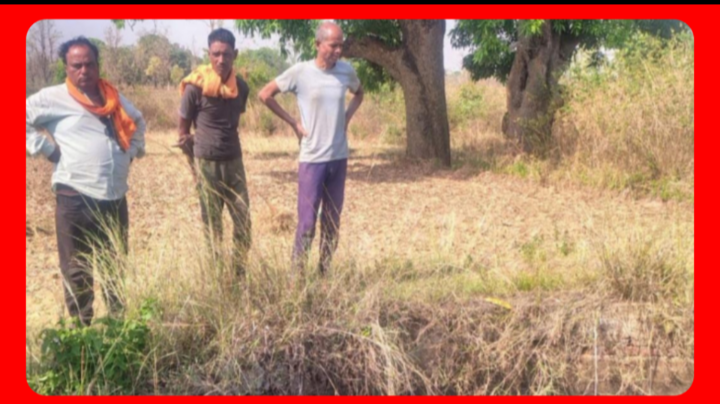 Screenshot 20260417 171102.Gallery