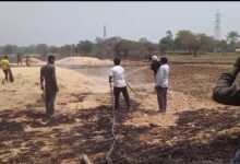 Screenshot 20260417 174041 WhatsApp