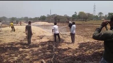 Screenshot 20260417 174041 WhatsApp