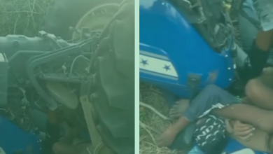 Screenshot 20260419 175316.WhatsApp