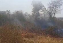 Screenshot 20260420 171452 WhatsApp