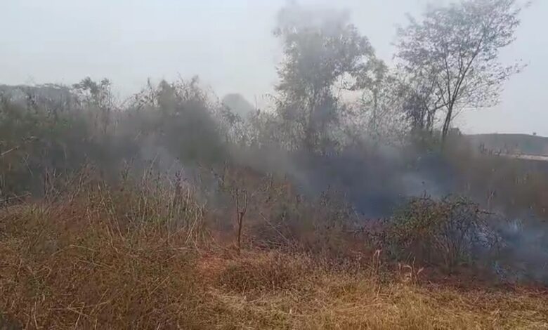 Screenshot 20260420 171452 WhatsApp