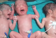 Screenshot 20260421 110443.WhatsApp