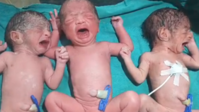 Screenshot 20260421 110443.WhatsApp