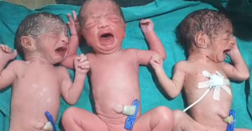 Screenshot 20260421 110443.WhatsApp