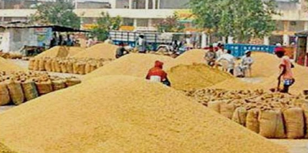 Screenshot 20260422 111043 Google