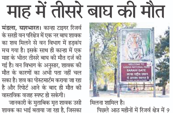 Screenshot 20260425 155848.WhatsApp