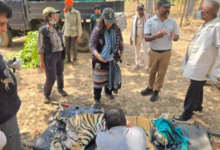 Screenshot 20260428 134821.WhatsApp