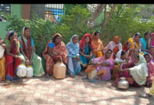 Screenshot 20260429 084037.WhatsApp