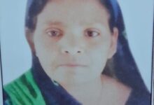 WhatsApp Image 2026 04 01 at 11.18.41