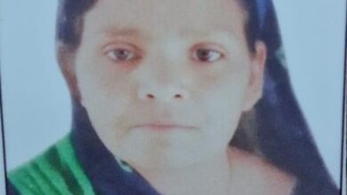 WhatsApp Image 2026 04 01 at 11.18.41