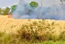 WhatsApp Image 2026 04 02 at 18.37.50