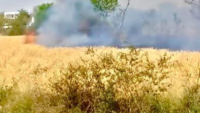 WhatsApp Image 2026 04 02 at 18.37.50