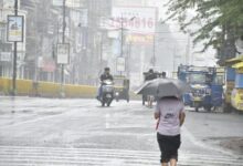 WhatsApp Image 2026 04 03 at 11.17.38