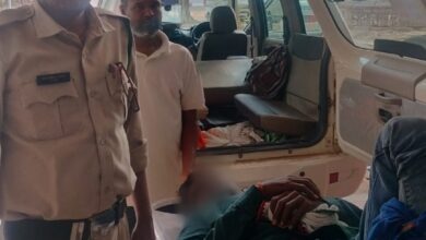 WhatsApp Image 2026 04 03 at 19.33.05