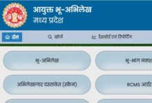 WhatsApp Image 2026 04 06 at 11.10.38