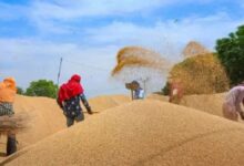 WhatsApp Image 2026 04 09 at 12.52.53