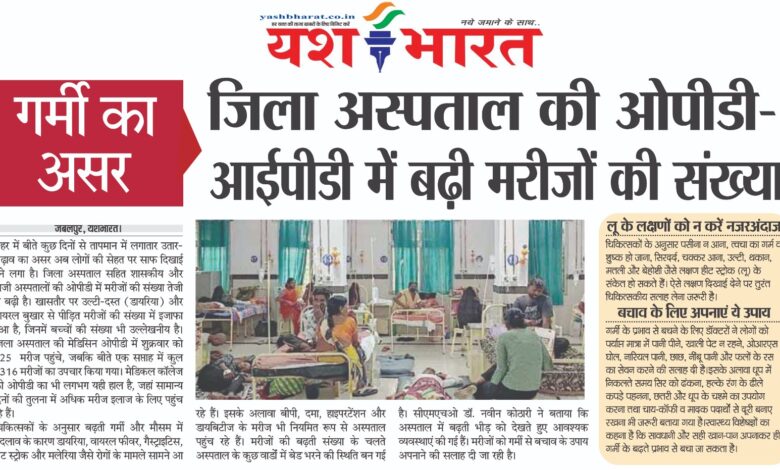 WhatsApp Image 2026 04 11 at 13.46.11