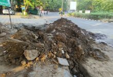 WhatsApp Image 2026 04 13 at 11.29.59