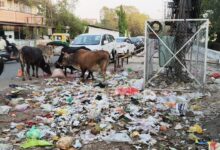 WhatsApp Image 2026 04 14 at 11.53.29